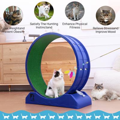 Show full view: RYPetmia Indoor Cat Exercise Wheel with Interactive Toy, Purple, 31.5 x 13.4 x 33.5-in slide 7 of 10