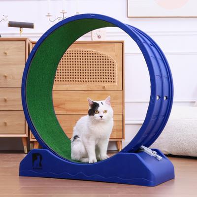 Show full view: RYPetmia Indoor Cat Exercise Wheel with Interactive Toy, Purple, 31.5 x 13.4 x 33.5-in slide 6 of 10
