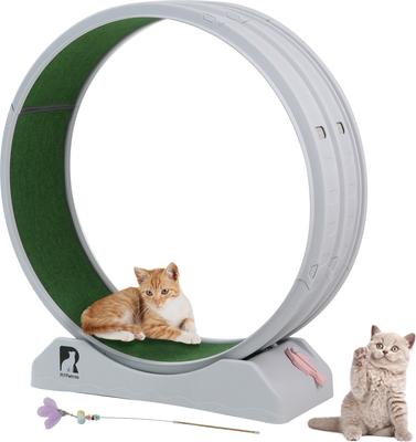 Show full view: RYPetmia Indoor Cat Exercise Wheel with Interactive Toy, Grey, 38.5 x 14.5 x 40.6-in slide 2 of 8