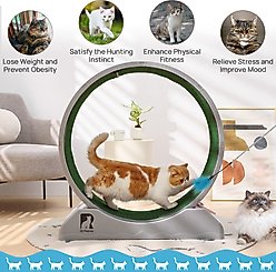 RYPetmia Indoor Cat Exercise Wheel with Interactive Toy, Grey, 31.5 x 13.4 x 33.5-in slide 2 of 9