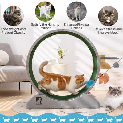 Show full view: RYPetmia Indoor Cat Exercise Wheel with Interactive Toy, Grey, 31.5 x 13.4 x 33.5-in slide 5 of 10