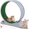 Show in main carousel: RYPetmia Indoor Cat Exercise Wheel with Interactive Toy, Grey, 31.5 x 13.4 x 33.5-in slide 2 of 10