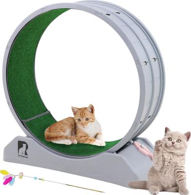 Show full view: RYPetmia Indoor Cat Exercise Wheel with Interactive Toy, Grey, 31.5 x 13.4 x 33.5-in slide 2 of 10
