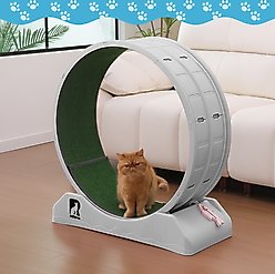 RYPetmia Indoor Cat Exercise Wheel with Interactive Toy, Grey, 31.5 x 13.4 x 33.5-in