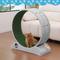 Show in main carousel: RYPetmia Indoor Cat Exercise Wheel with Interactive Toy, Grey, 31.5 x 13.4 x 33.5-in slide 1 of 10