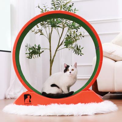 Show full view: RYPetmia Indoor Cat Exercise Wheel with Interactive Toy, Orange, 31.5 x 13.4 x 33.5-in slide 4 of 11