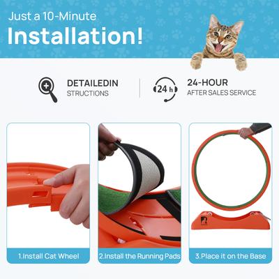 Show full view: RYPetmia Indoor Cat Exercise Wheel with Interactive Toy, Orange, 31.5 x 13.4 x 33.5-in slide 10 of 11