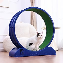 RYPetmia Indoor Cat Exercise Wheel with Interactive Toy, Purple, 31.5 x 13.4 x 33.5-in