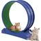 Show in main carousel: RYPetmia Indoor Cat Exercise Wheel with Interactive Toy, Purple, 31.5 x 13.4 x 33.5-in slide 5 of 10