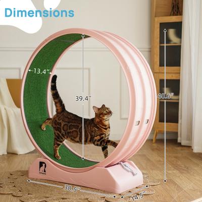 Show full view: RYPetmia Indoor Cat Exercise Wheel with Interactive Toy, Pink, 38.5 x 14.5 x 40.6-in slide 7 of 8