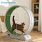Show in main carousel: RYPetmia Indoor Cat Exercise Wheel with Interactive Toy, Grey, 38.5 x 14.5 x 40.6-in slide 7 of 8
