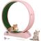 Show in main carousel: RYPetmia Indoor Cat Exercise Wheel with Interactive Toy, Pink, 38.5 x 14.5 x 40.6-in slide 2 of 8