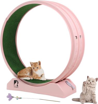 Show full view: RYPetmia Indoor Cat Exercise Wheel with Interactive Toy, Pink, 38.5 x 14.5 x 40.6-in slide 2 of 8