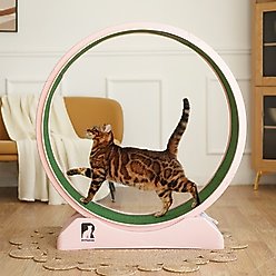 RYPetmia Indoor Cat Exercise Wheel with Interactive Toy, Pink, 38.5 x 14.5 x 40.6-in