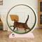 Show in main carousel: RYPetmia Indoor Cat Exercise Wheel with Interactive Toy, Pink, 38.5 x 14.5 x 40.6-in slide 1 of 8