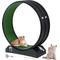 Show in main carousel: RYPetmia Indoor Cat Exercise Wheel with Interactive Toy, Black, 38.5 x 14.5 x 40.6-in slide 6 of 8