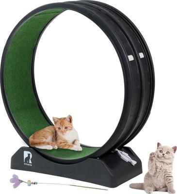 Show full view: RYPetmia Indoor Cat Exercise Wheel with Interactive Toy, Black, 38.5 x 14.5 x 40.6-in slide 6 of 8