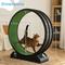 Show in main carousel: RYPetmia Indoor Cat Exercise Wheel with Interactive Toy, Black, 38.5 x 14.5 x 40.6-in slide 7 of 8