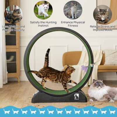 Show full view: RYPetmia Indoor Cat Exercise Wheel with Interactive Toy, Black, 38.5 x 14.5 x 40.6-in slide 4 of 8