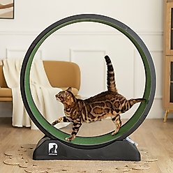 RYPetmia Indoor Cat Exercise Wheel with Interactive Toy, Black, 38.5 x 14.5 x 40.6-in