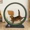 Show in main carousel: RYPetmia Indoor Cat Exercise Wheel with Interactive Toy, Black, 38.5 x 14.5 x 40.6-in slide 1 of 8