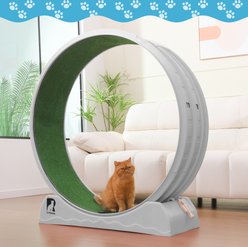 RYPetmia Indoor Cat Exercise Wheel with Interactive Toy, Grey, 44.5 x 14.5 x 47.2-in