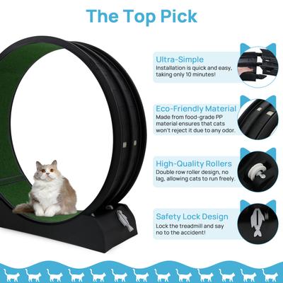 Show full view: RYPetmia Indoor Cat Exercise Wheel with Interactive Toy, Black, 44.5 x 14.5 x 47.2-in slide 8 of 10