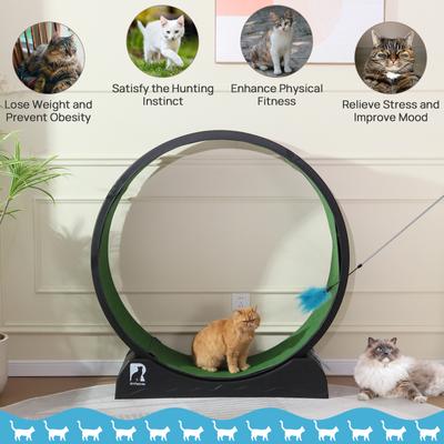 Show full view: RYPetmia Indoor Cat Exercise Wheel with Interactive Toy, Black, 44.5 x 14.5 x 47.2-in slide 5 of 10