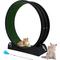 Show in main carousel: RYPetmia Indoor Cat Exercise Wheel with Interactive Toy, Black, 44.5 x 14.5 x 47.2-in slide 2 of 10