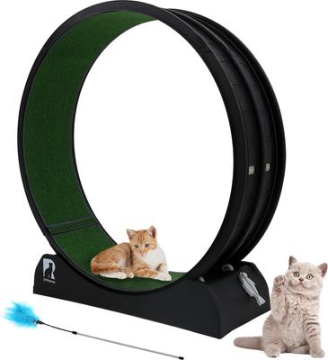Show full view: RYPetmia Indoor Cat Exercise Wheel with Interactive Toy, Black, 44.5 x 14.5 x 47.2-in slide 2 of 10