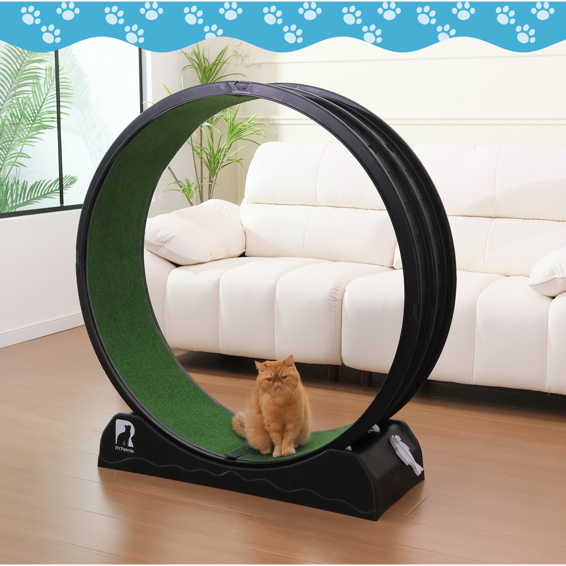 RYPetmia Indoor Cat Exercise Wheel with Interactive Toy, Black, 44.5 x 14.5 x 47.2-in