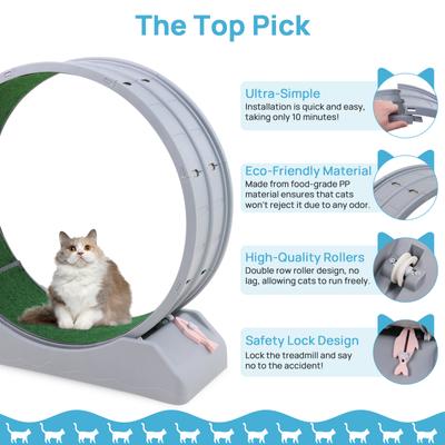 Show full view: RYPetmia Indoor Cat Exercise Wheel with Interactive Toy, Grey, 31.5 x 13.4 x 33.5-in slide 8 of 10