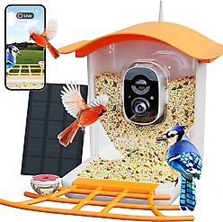 PerchMe Smart Bird Feeder with Camera, Mango Tango slide 1 of 9