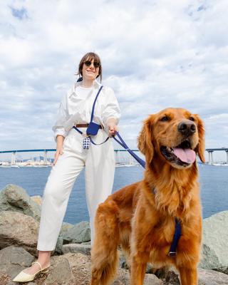 Show full view: Sunny Tails Cloud Lite Waterproof Metal No-Pull Dog Harness, Signature Navy, Small: 15 to 21-in chest slide 5 of 8