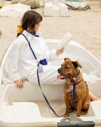 Sunny Tails Cloud Lite Waterproof Dog Harness, Navy Blue, Large: 26 to 38-in chest slide 2 of 5