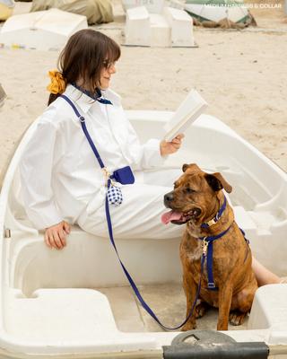 Show full view: Sunny Tails Cloud Lite Waterproof Dog Harness, Navy Blue, Small: 15 to 21-in chest slide 5 of 8