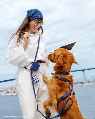 Show full view: Sunny Tails Cloud Lite Waterproof Dog Harness, Navy Blue, Small: 15 to 21-in chest slide 2 of 8