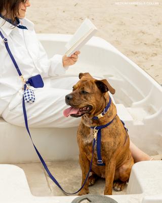 Show full view: Sunny Tails Cloud Waterproof Dog Collar, Navy Blue, Medium: 12 to 18-in neck, 3/4-in wide slide 3 of 6