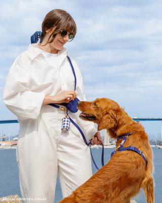 Show full view: Sunny Tails Snap Dog Treat Pouch, Navy Blue slide 3 of 7