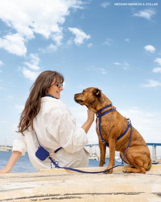 Show full view: Sunny Tails Cloud Lite Waterproof Metal No-Pull Dog Harness, Signature Navy, Small: 15 to 21-in chest slide 4 of 8