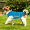 Show in main carousel: NANAKI Anxiety Relief Dog Coat, Blue, X-Large slide 6 of 9
