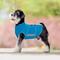 Show in main carousel: NANAKI Anxiety Relief Dog Coat, Blue, X-Large slide 7 of 9