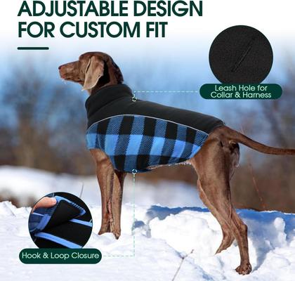 Show full view: NANAKI Waterproof Dog Coat, Blue, X-Large slide 5 of 9