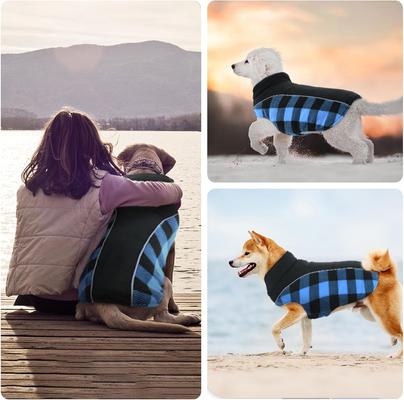 Show full view: NANAKI Waterproof Dog Coat, Blue, X-Large slide 8 of 9