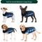 Show in main carousel: NANAKI Waterproof Dog Coat, Blue, X-Large slide 7 of 9