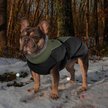 Show in main carousel: NANAKI Waterproof Dog Coat, Army Green, Small slide 7 of 8