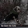 Show in main carousel: NANAKI Waterproof Dog Coat, Army Green, Small slide 5 of 8