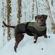Show in main carousel: NANAKI Waterproof Dog Coat, Army Green, Small slide 6 of 8