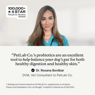 Show full view: PetLab Co. Probiotic Salmon Flavored Soft Chew Digestive Supplement for Dogs, 30 count slide 4 of 10