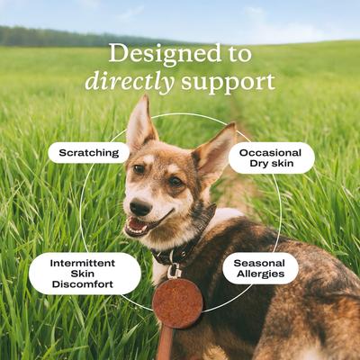 Show full view: PetLab Co. Itch Relief Chew Pro Salmon Flavored Soft Chew Skin & Allergy Supplement for Dogs, 30 count slide 6 of 10